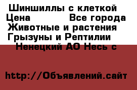 Шиншиллы с клеткой › Цена ­ 8 000 - Все города Животные и растения » Грызуны и Рептилии   . Ненецкий АО,Несь с.